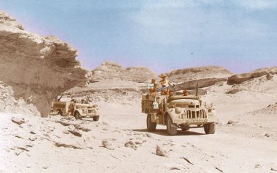 Member Ep. 49 is Ready!